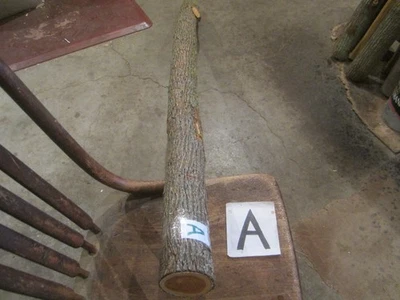 BENGALA LARANJA OSAGE EM BRANCO/arco vara/pautas/bilé/madeira artesanal/tornar madeira - Imagem 1 de 4