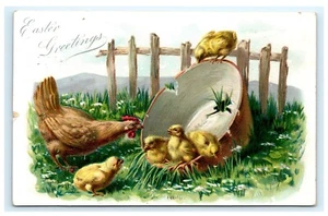 Cartolina Serie Pasqua Raffaello Tuck Tuck’s 111 Pulcini Pollo Secchio Rotto D1 - Foto 1 di 2