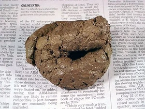 Fake Dog Poop Crap Caca Boo Boo Dirt Pile Poo Real Lifelike Silly Gag Prank Joke - Picture 1 of 3