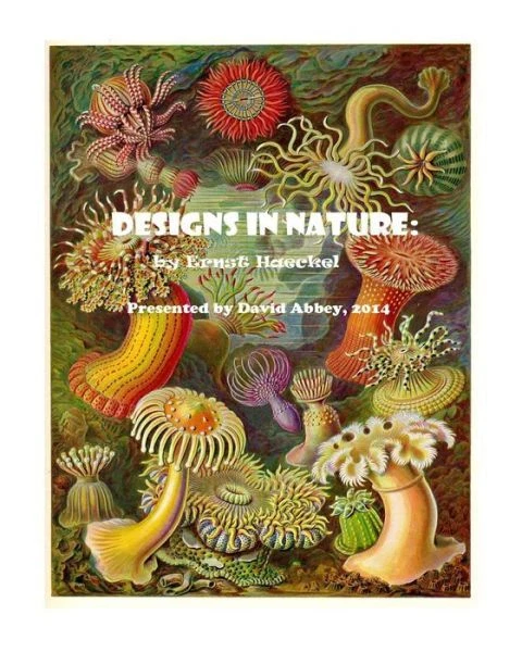 Designs In Nature: The Incredible Art Of Ernst Haeckel - Image 1 of 1