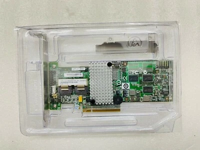 IBM 46M0918 SERVERAID M5014 SAS SATA Express 2.0 x8 256MB Cache CONTROLLER Raid - Bild 1 von 4