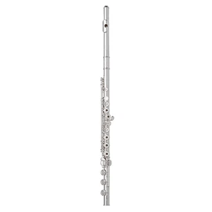 NEW HAYNES Amadeus AF680 Professional Flute Silver Head, Offset G, Low B foot - Picture 1 of 1