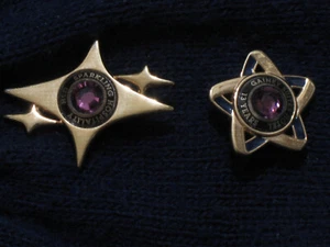Gainey Suites Hotel Employee Sparkling Hospitality Lapel Pins - Pair - Picture 1 of 6