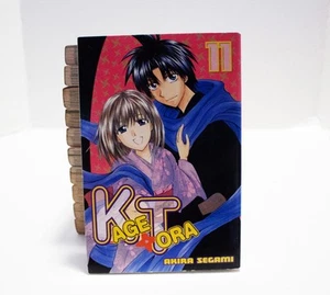 KageTora Band 1-11 KOMPLETT Akira Segami Manga PB/SC HERVORRAGENDER ZUSTAND - Bild 1 von 6