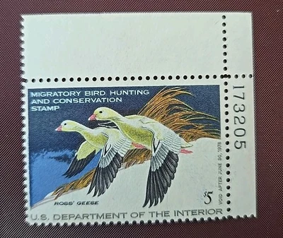 United States #RW44 $5 1977 Federal Duck Stamp - Image 1 of 2