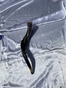 Small 20”Shofar Kudu - Picture 1 of 5