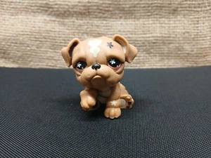 Littlest Pet Shop LPS #719 braune Bulldogge Hund Blumenaugen authentisch - Bild 1 von 5