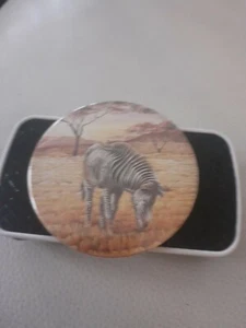 Insignia vintage WWF Zebra - Imagen 1 de 4