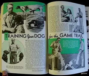AUSBILDUNGSTECHNIKEN JAGDHUNDE 1940 BILDRETRIEVER ASMUS & SÖHNE LABRADOR - Bild 1 von 2