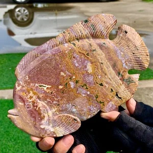 450G Increíble piedra de aura de jaspe marino natural talla de cristal pez jaspe - Imagen 1 de 24