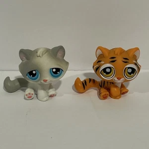 KÄTZCHEN KATZE #53 & TIGER #905 - Authentic Littlest Pet Shop - Hasbro LPS - Bild 1 von 18