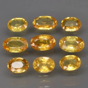 Oval 4.5x3.5 mm.Heated Only! Yellow Sapphire Ceylon, Srilanka 9Pcs/2.53Ct. - Picture 1 of 6