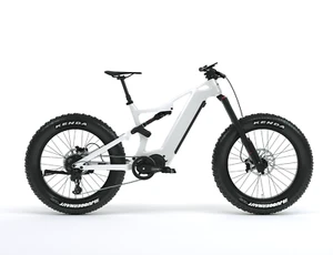 19" Dengfu E56 Carbon Fat Bike Suspension Electric Bicycle Ebike M620 1040wh 10S - Picture 1 of 14