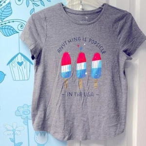SO Favorite Graphic "Anything Is Popsicle - In The USA" Gray Tee Shirt Kids XL ! - Picture 1 of 6