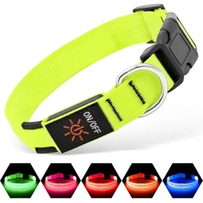 Illumifun LED Dog Collar, USB Rechargeable Light Up  Assorted Sizes , Colors  - Image 1 of 4