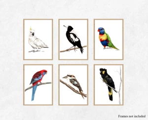 Set of Six Australian Bird Prints - watercolour native bird paintings - Picture 1 of 7