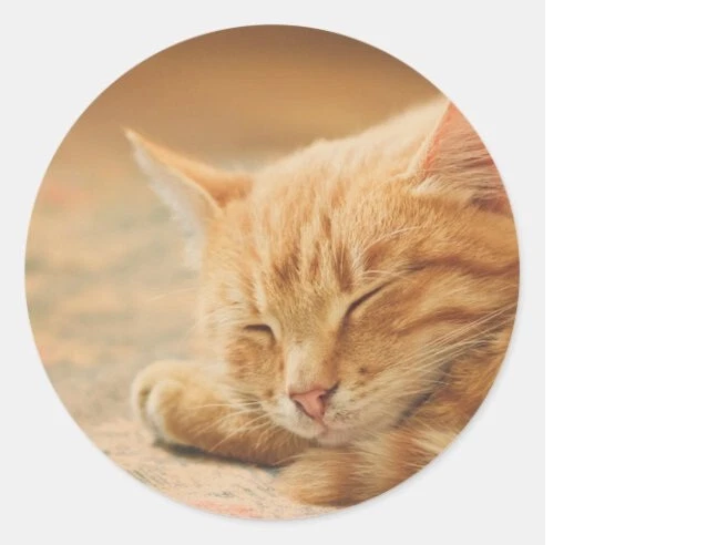 Brazalete Brazalete Mujer CARA DE GATO NARANJA Platino Plateado Único en su Tipo Foto 1 de 4