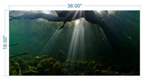 Aquarium Background Underwater roots - vinyl graphic adhesive AQ0015 - Picture 1 of 11