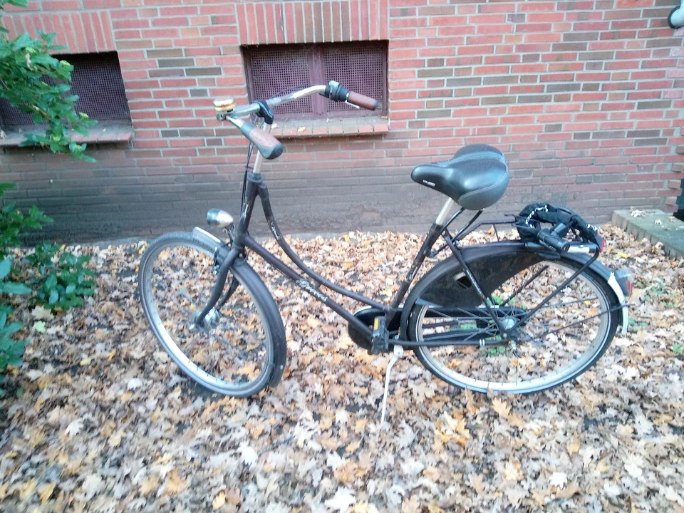 Damenfahrrad Grecos - Bild 1 von 1