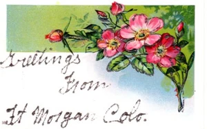 Postal vintage saludos de Colorado de Ft. Morgan Colo flores en relieve brillo - Imagen 1 de 2