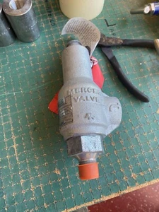 Mercer Valve 91-06D51V09 Pressure Relief Valve 1/2" - Bild 1 von 4