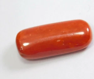 10 Ct Excellent Quality Natural Capsule Cut Red Italian Coral Loose Gemstone R - Picture 1 of 2