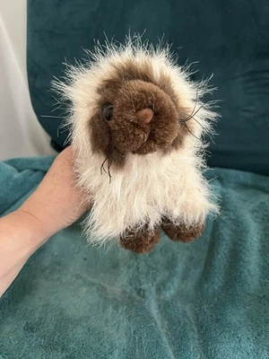 Himalayan Ganz Webkinz HM165 Plush Cat Kitten Kitty NO CODE Great Condition - Image 1 of 4