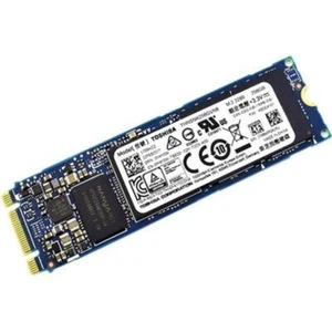 Toshiba THNSNK256GVN8 256GB M.2 NVME SSD - Afbeelding 1 van 1