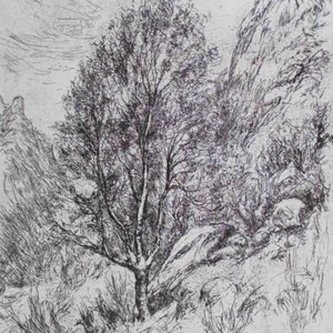 Hans Dietmann Alpe Valle Verzasca grabado firmado contemporáneo en tinas - Imagen 1 de 4