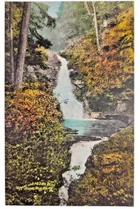 Buck Hill Falls Postcard  Pocono Mountains  1950s Unposted Chrome Hand Painted - Picture 1 of 2