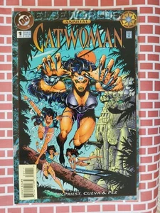 Cómics de DC Catwoman Anual 1994 de Elseworlds leer copia #1 - Imagen 1 de 2