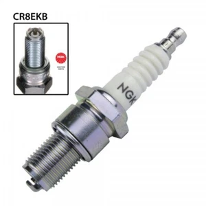 SPARK PLUG - NGK CR8EKB - STOCK No. 4374 - SINGLES - 4374 - Picture 1 of 7