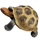 Schildkrötenspielzeug Simulierte Schildkrötenmodell Dekorative Schmücken