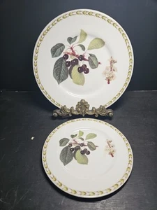 Queen Bone China Royal Horticultural Society Nutte Kirsche Salat & Brotteller - Bild 1 von 4