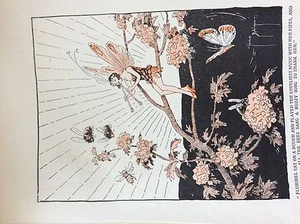 m17a3 ephemera 1920s book plate gordon robinson floribel sat on a bough  - Foto 1 di 1