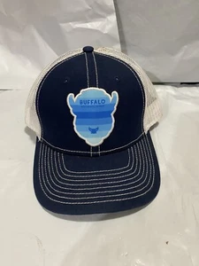 Buffalo National River Baseball Hat Snap Back Blue Buffalo Logo Striped - Picture 1 of 9