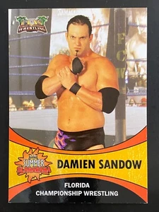 Damien Sandow 2011 FCW Florida Championship Wrestling Card Summer Slamarama - Foto 1 di 2