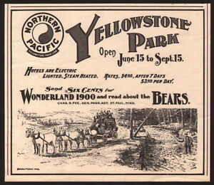 1900 Northern Pacific Railroad publicité imprimée ours de Yellowstone