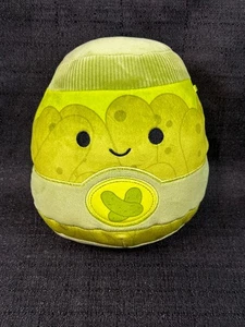 Squishmallows Zaid the Pickle Jar Plush 7.5" Excellent Beautiful Condition RARE - Picture 1 of 3