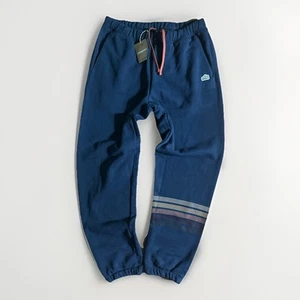 NEW Patagonia Mens Uprisal Line Logo Ridge Striped Sweatpants Medium Blue - Picture 1 of 17
