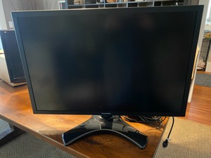 28-30.9 Inch S-Video Computer Monitors 
