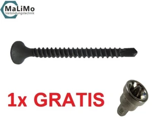 Schnellbauschrauben Bohrspitze Trockenbauschrauben Rigipsschrauben + gratis-Bit - Bild 1 von 5