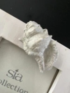 "SIA Collection" Bilderrahmen mit Muschel weiß lasiert - Bild 1 von 5
