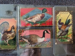 Vintage Mecca Cigarettes Pack Cards 1910 Various Birds Set of 4 Cards