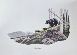 HIGHLAND ADVENTURES FARBDRUCK SEINE KOMPLIZIERTEN DETAILS UND LEBENDIGEN FARBEN WERDEN GLÄNZEN - Bild 1 von 3