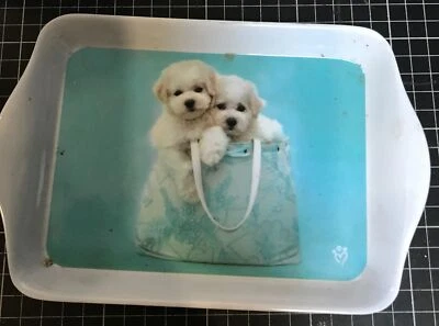 Bandeja grande de melamina para servir animales adorables Rachaelhale de colección Foto 1 de 2