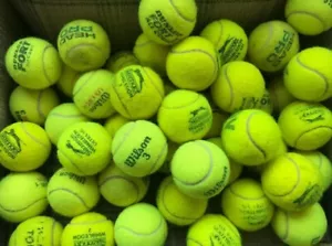 15 Used Tennis Balls Great for Dogs Excellent Condition, All Branded Balls - Picture 1 of 1