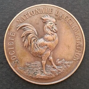 MEDAILLE SOCIETE NATIONALE ACCLIMATATION Exposition Animaux Basse Cour 1892 COQ - Imagen 1 de 16