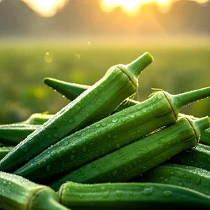 200+ CLEMSON SPINELESS OKRA SEEDS 🌿 HEIRLOOM AAS WINNER • NON-GMO FREE SHIPPING - Picture 1 of 8