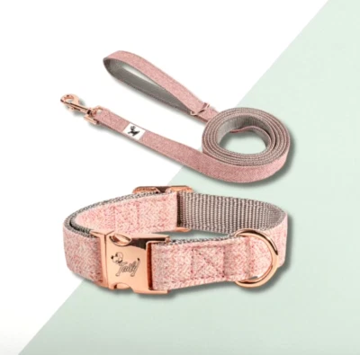 🐶 Taily Collar & City Lead Set - Blush Pink | Size: Small 🐶 - Image 1 of 4